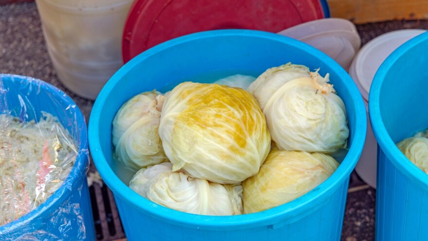 Evo jednostavnog recepta kako kiseliti kupus u glavicama