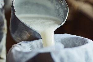 Koje su dobrobiti pijenja mleka, a na šta paziti?