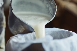 Koje su dobrobiti pijenja mlijeka, a na što paziti?