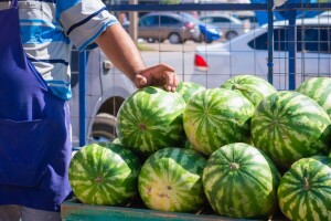 Počela je sezona lubenice: Kako odabrati onu pravu?
