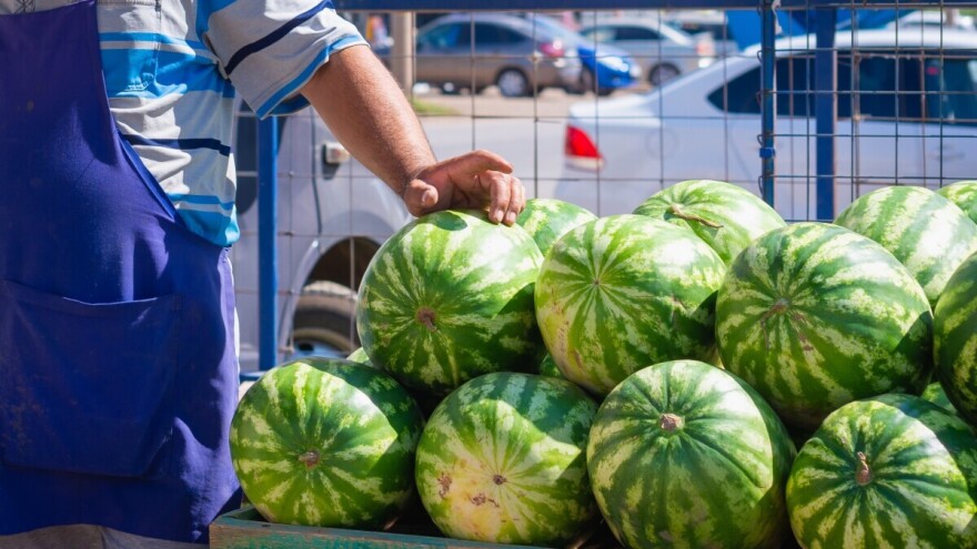 Počela je sezona lubenice: Kako odabrati onu pravu?