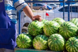 Počela je sezona lubenice: Kako odabrati onu pravu?"