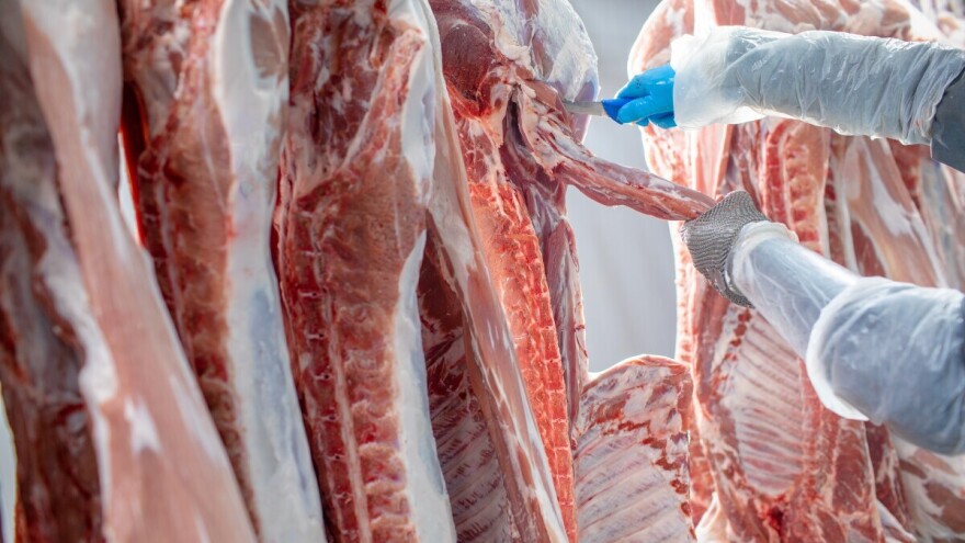 Rekordan izvoz ruske svinjetine u 2024. godini