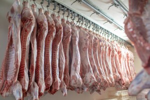 Inspekcija pronašla 14,5 tona mesa u neregistrovanom objektu