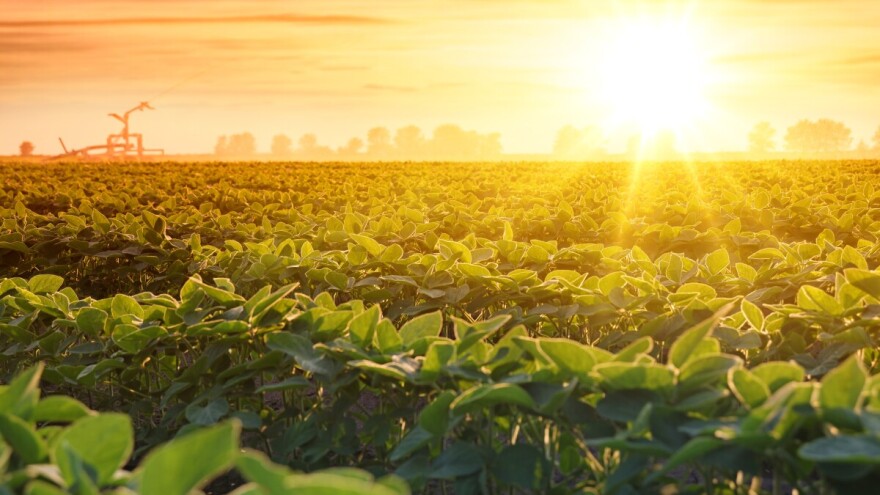 Alarm za planetu: Prošla godina je najtoplija ikad zabeležena