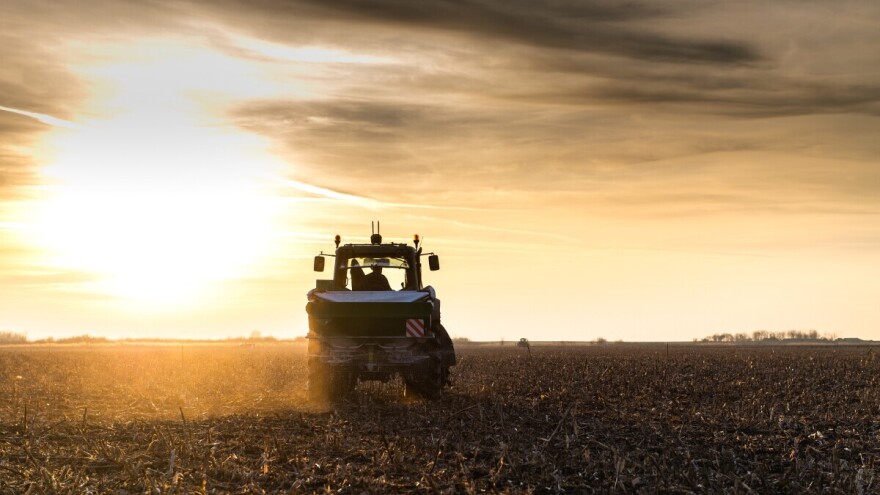 Jesenska gnojidba tla: Koja je opcija najprihvatljivija?