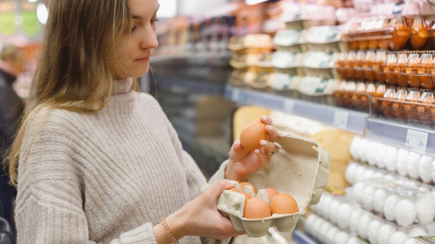 S tržišta zbog salmonele opozvana domaća svježa jaja