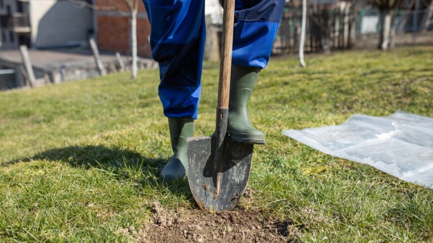 Odobrene potpore za kupnju, izgradnju ili obnovu objekta za stanovanje mladih poljoprivrednika