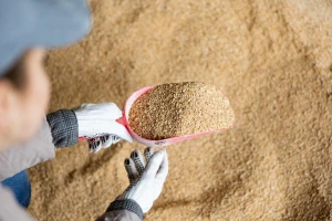 Razmatrana tri zahtjeva o stavljanju na bh. tržište hrane za životinje koja sadrži GMO