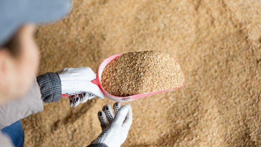 Razmatrana tri zahtjeva o stavljanju na bh. tržište hrane za životinje koja sadrži GMO