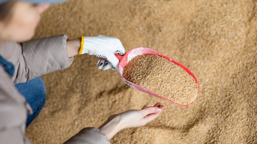 Zaobilazak SAD-a: Kina otvara vrata argentinskoj sojinoj sačmi