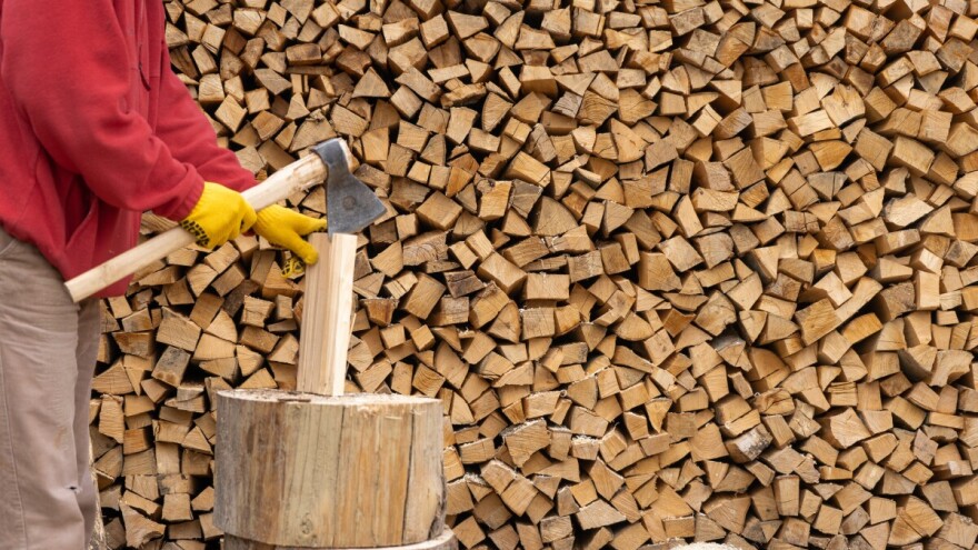 JP "Vojvodinašume" : Jeftinije ogrevno drvo za najugroženije građane