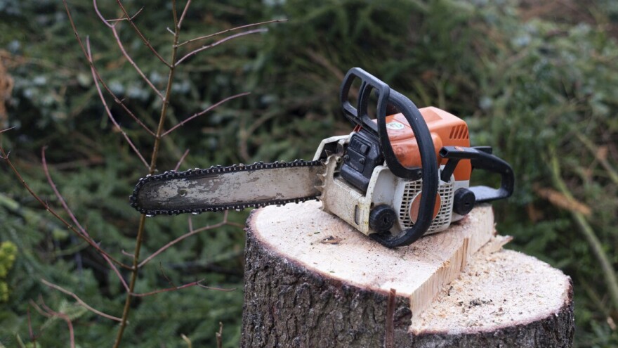 Prnjavor: Muškarca usmrtilo drvo u šumi