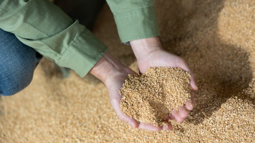 Svetska banka predviđa pad cena hrane: Pirinač i soja najviše gube na vrednosti