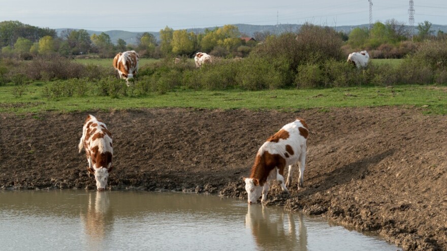 Za opstanak svake biljke i životinje - kako su stari seljaci poštovali vodu?