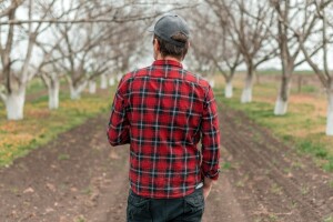 Zimska zaštita oraha: Spremite turbo mlaznice, ali i kreč