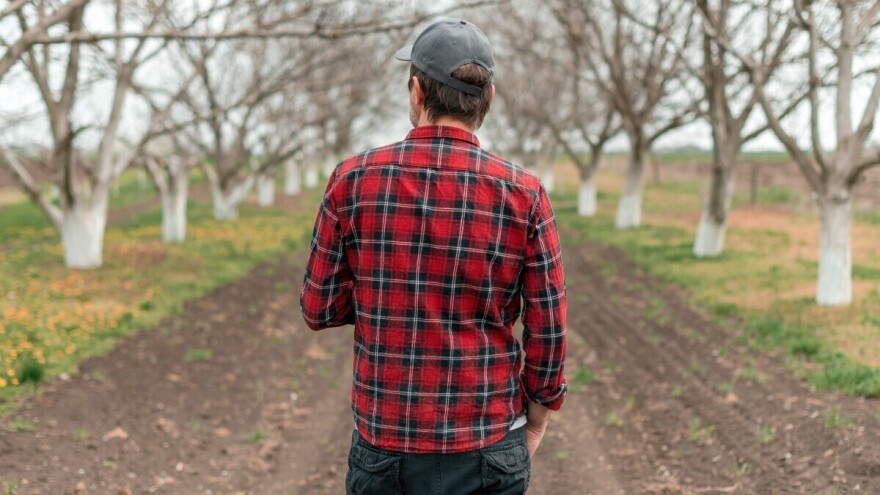 Zimska zaštita oraha: Pripremite turbo mlaznice, ali i vapno