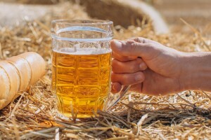 Njemačka i dalje drži prvo mjesto u proizvodnji piva u EU