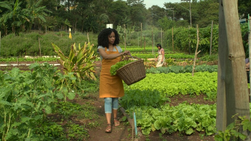 Glasovi promjene: Ovisnost poljoprivrede o nafti, ali i tri održiva rješenja