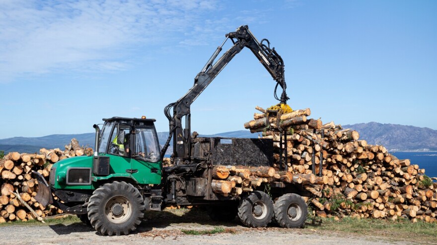Bankrotirao jedan od vodećih europskih igrača u drvnoj industriji