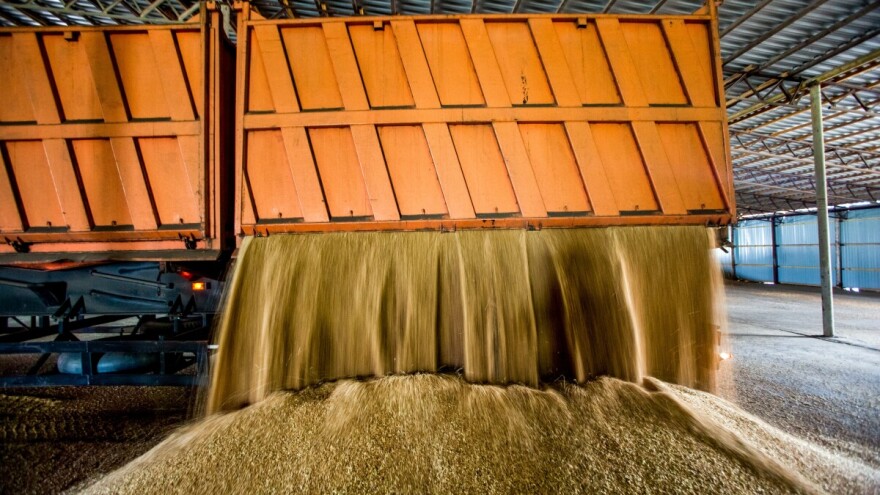 Produktna berza pred izazovima: Dugotrajno niske cene ratarskih kultura pritiskaju poslovanje