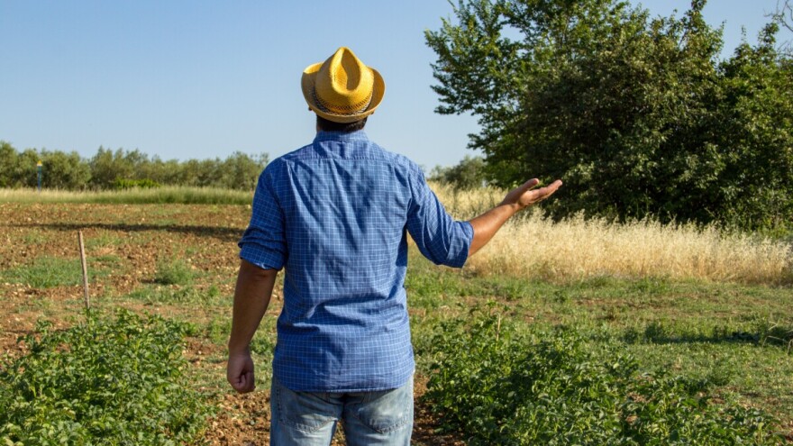 Pljusak na horizontu: Toplotni talas popušta, stiže kiša