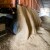 Cena pšenice i dalje u padu - za pet odsto