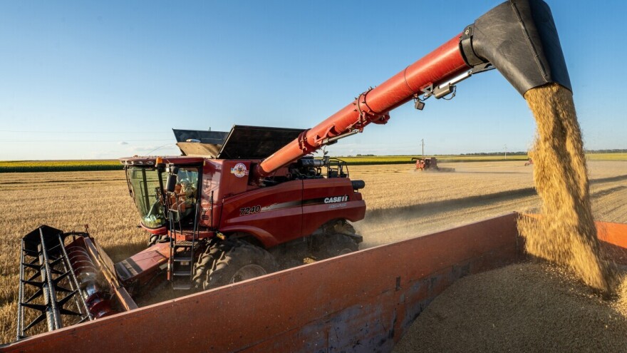 Prognoza prinosa: Povoljni uslovi za ozime žitarice uprkos sušnoj jeseni