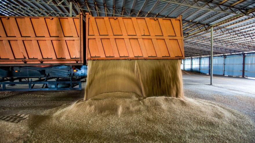 Cena pšenice u blagom rastu, pasivnost na tržištu soje. Kako se trgovalo?