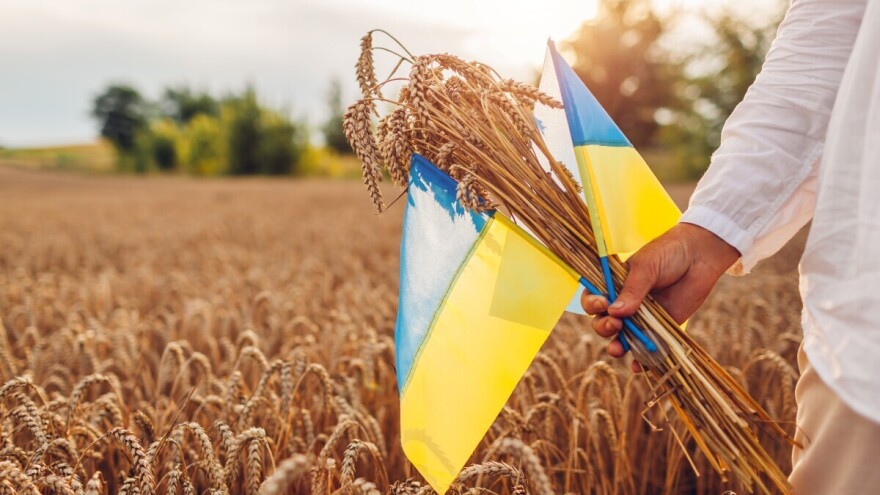 EU ponovo uvela carine i kvote na ukrajinske poljoprivredne proizvode