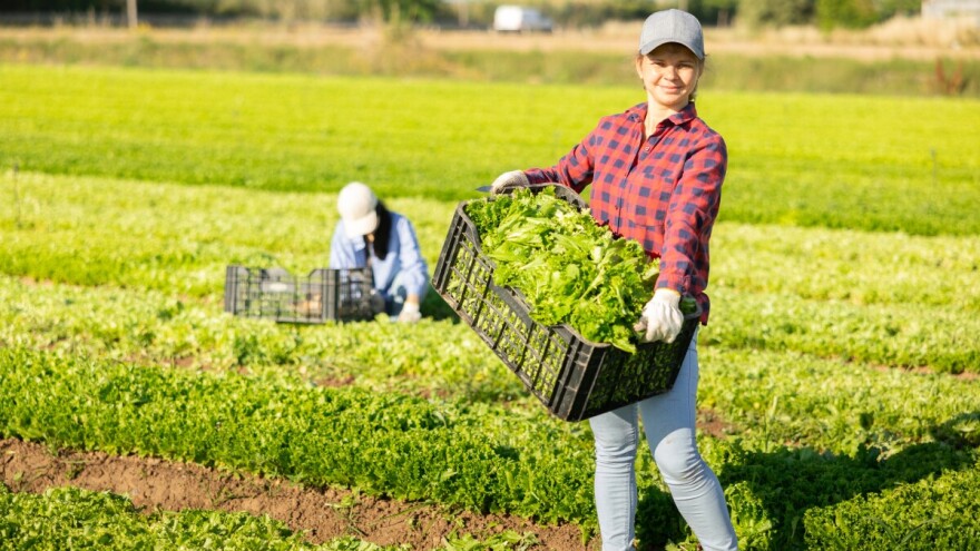 Prijavite se na ARIA 2025 - natječaj za najbolje zelene projekte financirane iz EU fondova