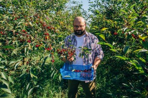 Nedostatak mikroelemenata: kako prepoznati prve simptome kod višanja
