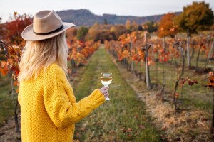 Svjetski dan vinskog turizma: Ovog vikenda u Hercegovini!