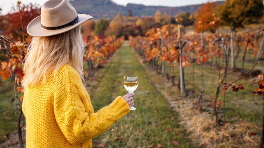 Svjetski dan vinskog turizma: Ovog vikenda u Hercegovini!