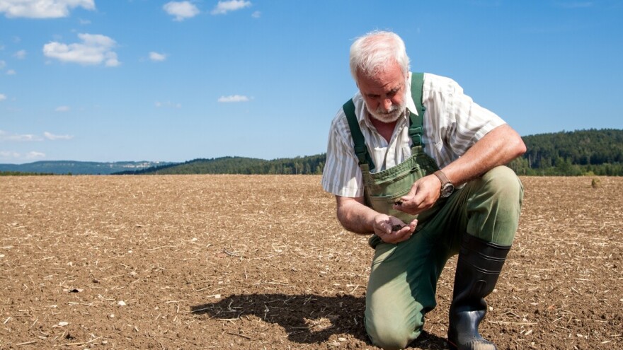 Direktna šteta od suše na njivama Semberije procijenjena na 12 miliona KM