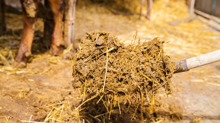 Čudo iz Japana: Od stajskog gnojiva do goriva za traktore