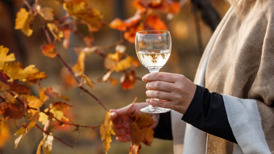 A sad ispočetka, sretna Vam 2026!