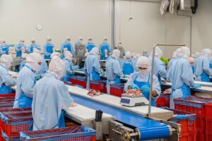 Hladan i otuđen proces proizvodnje hrane