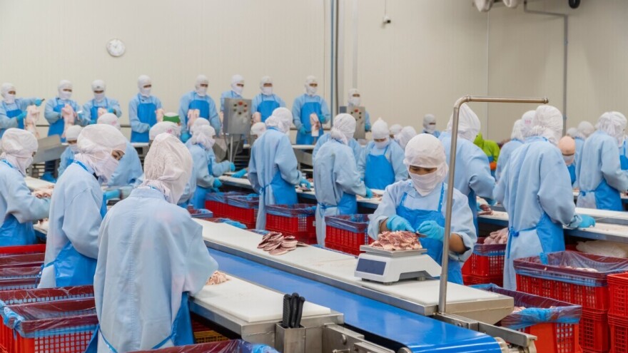 Hladan i otuđen proces proizvodnje hrane