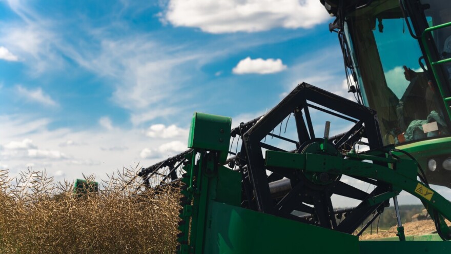 Pšenica vs. uljana repica: Rađa li se nova ratarska zvijezda?