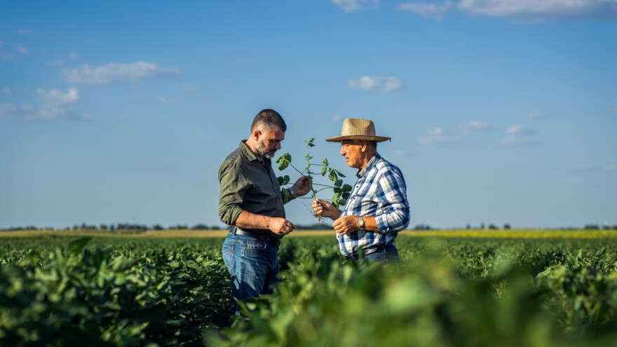 Kuda ide hrvatsko ratarstvo?
