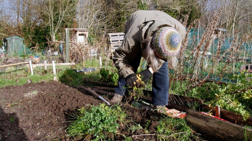 Vrt u decembru ne miruje: Evo koje poslove odraditi ovog mjeseca