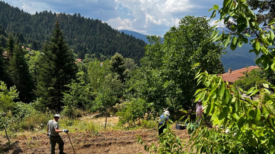 Kiša osvježila zemlju, vrućine se vraćaju