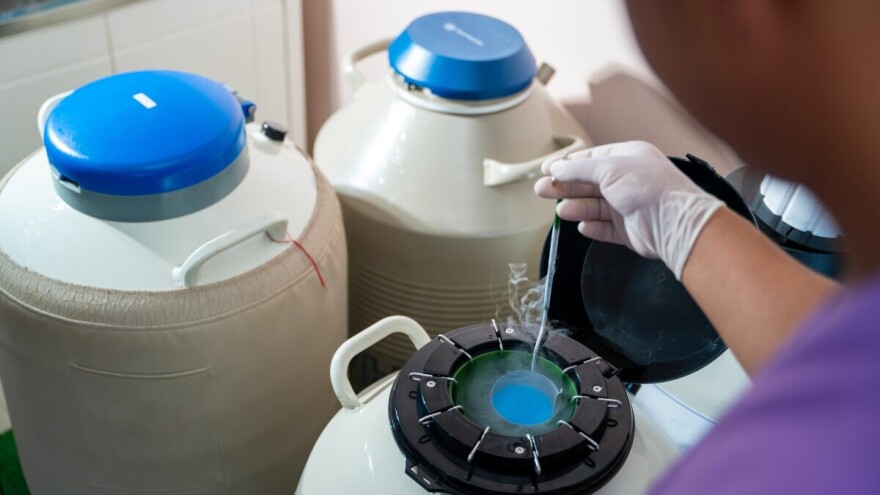 Ukradena smrznuta bikova sperma vredna više od 30.000 evra