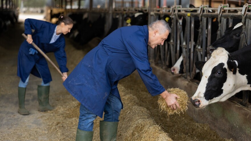 Hoće li novi uzgojni program farmere ostaviti bez premija: "Ko je počinilac ovog sastava"