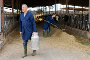 Nemačko tržište mleka pred kolapsom: Gubici premašili milijardu evra