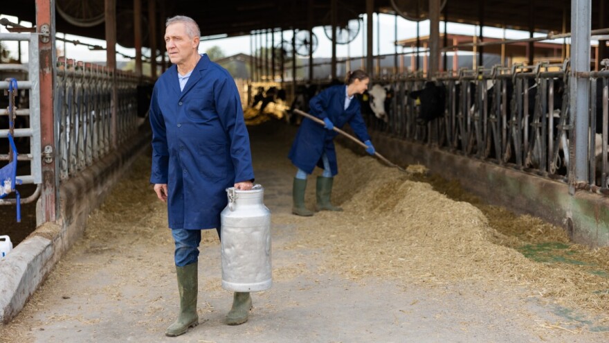 Nemačko tržište mleka pred kolapsom: Gubici premašili milijardu evra