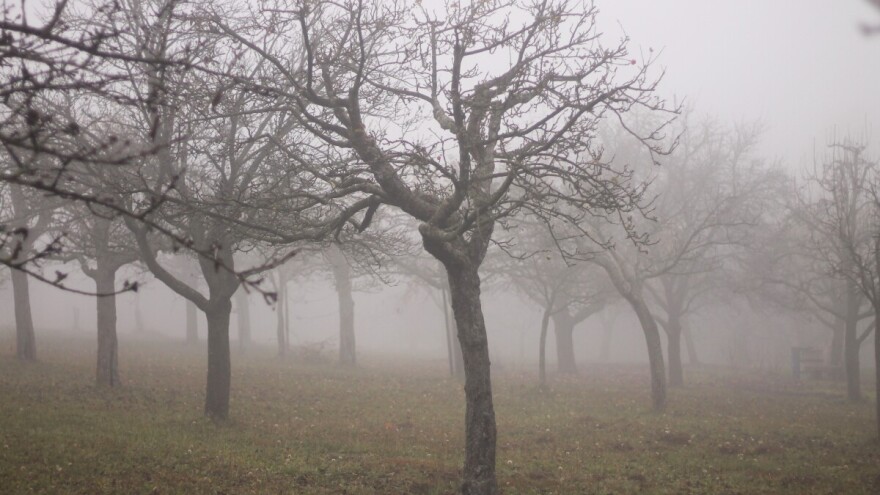 Hladno vrijeme "primirilo" štetočine: Nove padavine za vikend