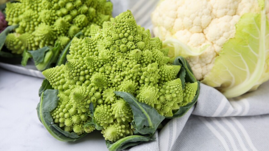 Šenon - neobična cvjetača