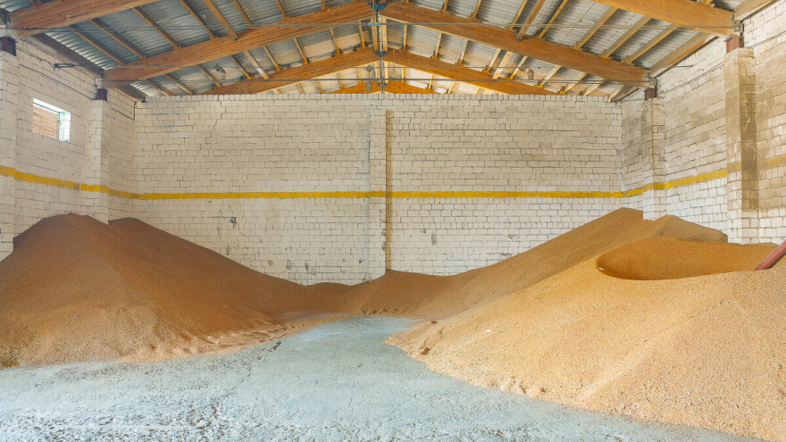 Kako sačuvati uskladištene žitarice od štetočina?